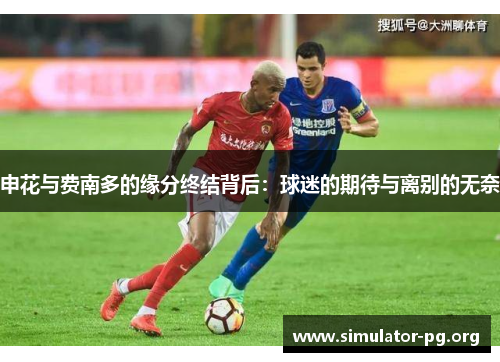 申花与费南多的缘分终结背后：球迷的期待与离别的无奈